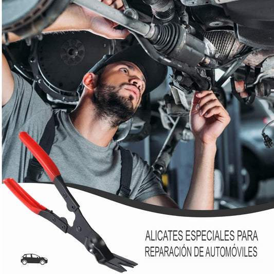 𝐀𝐋𝐈𝐂𝐀𝐓𝐄 𝐌𝐔𝐋𝐓𝐈𝐅𝐈𝐗  𝐏𝐑𝐎